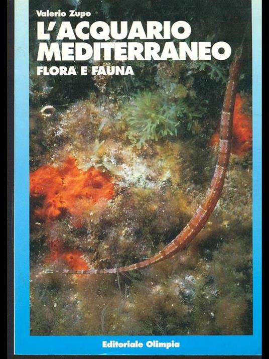 L' acquario mediterraneo. flora e fauna - Valerio Zupo - copertina