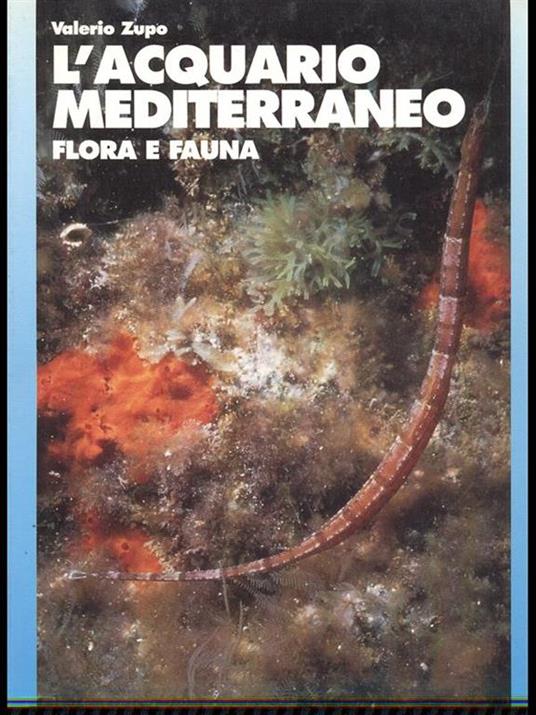 L' acquario mediterraneo Flora e fauna - Valerio Zupo - copertina