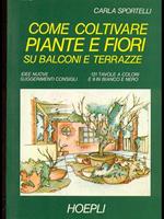 Come coltivare piante e fiori su balconi e terrazze