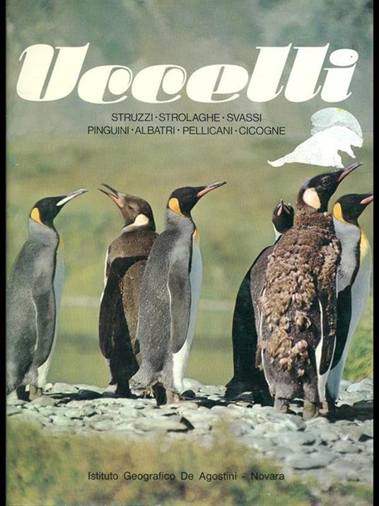 Uccelli - Sergio Frugis - copertina
