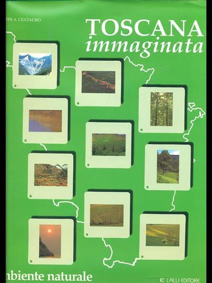 Toscana immaginata - copertina