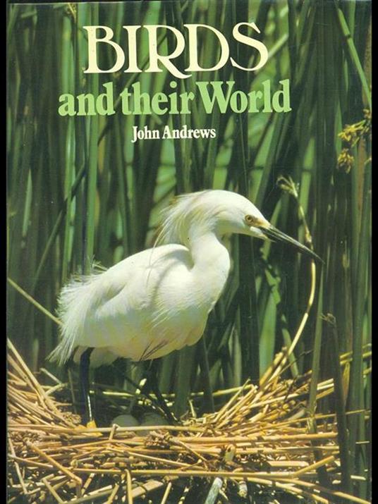 Birds and their world - copertina
