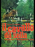 Il cavallo da sella
