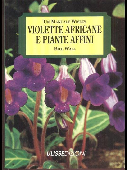 Violette africane e piante affini - Bill Wall - copertina