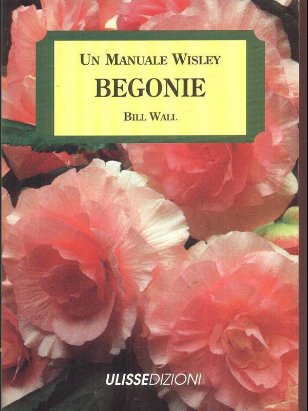 Begonie