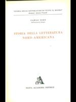 Storia della letteratura nord-americana 