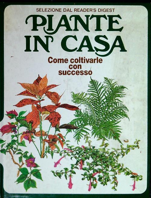 Piante in casa-Come coltivarle con successo