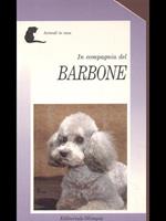 In compagnia del barbone