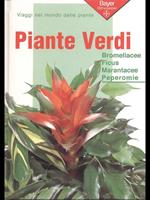 Piante verdi 2-Bromeliacee Ficus Marantacee Peperomie