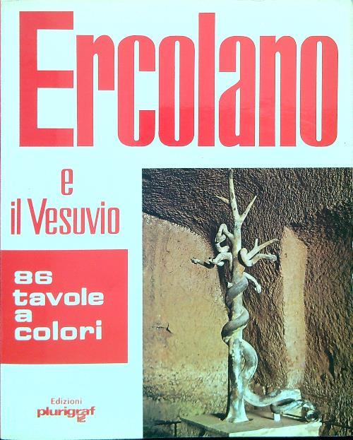 Ercolano e il Vesuvio