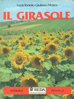 Il girasole