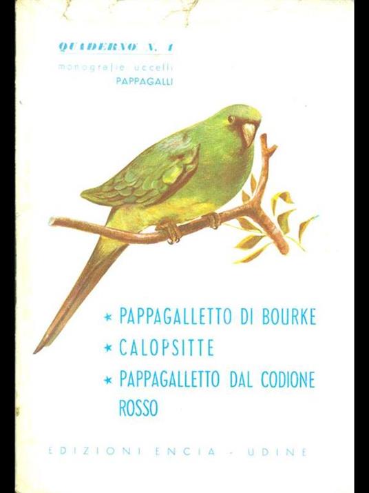 Quaderno n 4. Pappagalletto diBourke. Calopsitte. Pappagalletto dal codione rosso - copertina