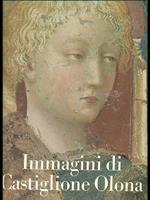 Immagini di Castiglione Olona