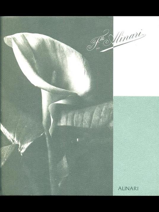 Fratelli Alinari - copertina