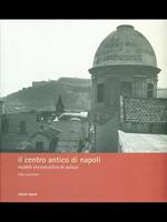 Il centro antico di Napoli. Modelli «ricostruttivi» di palazzi