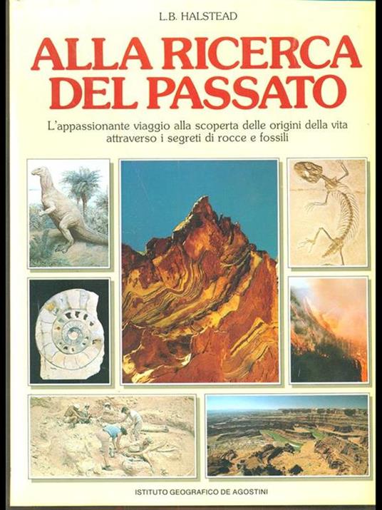 Alla ricerca del passato - copertina