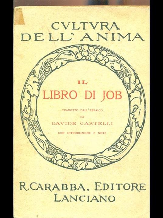 Il libro di Job - Davide Castelli - copertina