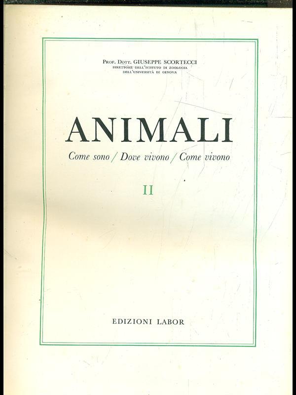 Animali II