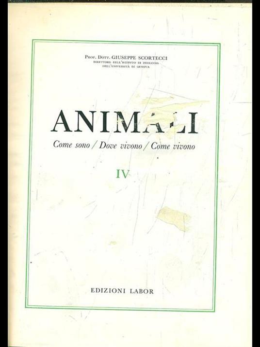 Animali IV - Giuseppe Scortecci - copertina