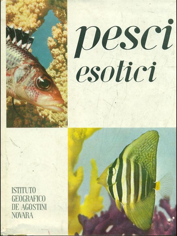 Pesci esotici