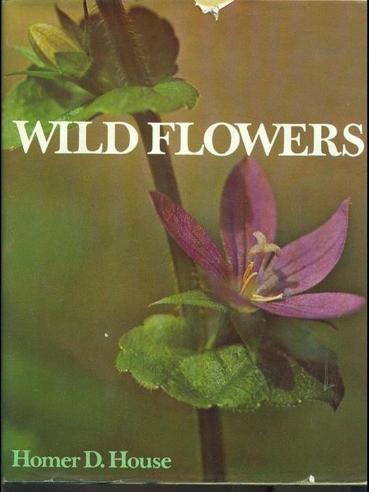 Wild flowers - copertina