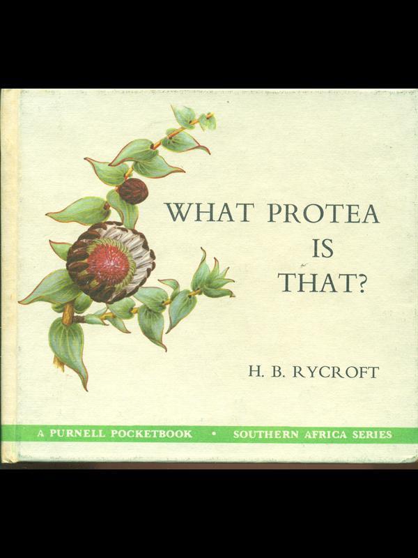 What Protea is that?