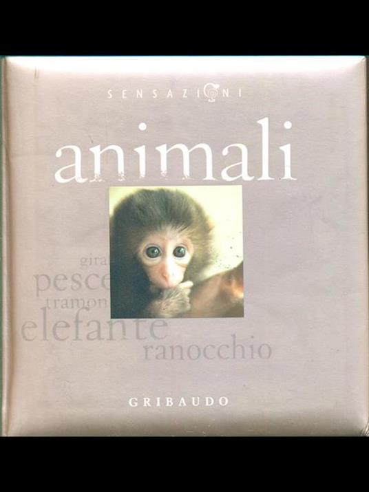 Animali - copertina