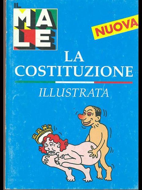 La costituzione illustrata - 8