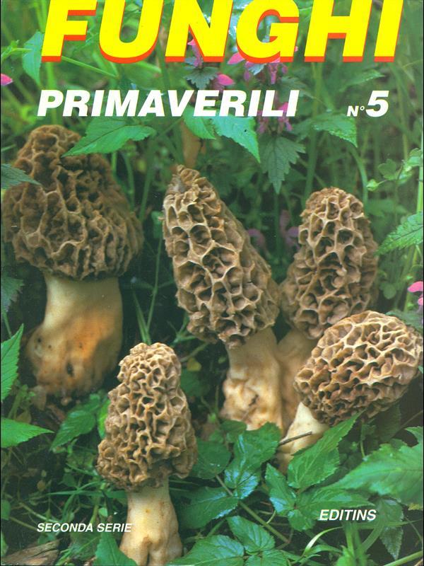 Funghi Primaverili n. 5