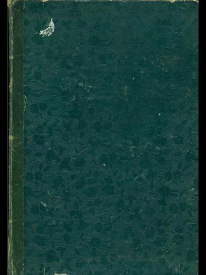 L' amante della luna - C. P. Kock - copertina