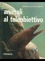 Animali al teleobiettivo