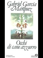 Occhi di cane azzurro
