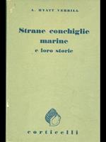 Strane conchiglie marine e loro storie