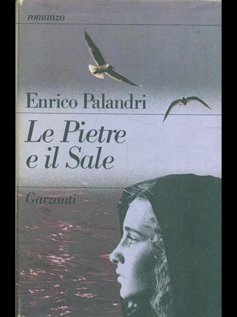 Le pietre e il sale - Enrico Palandri - 7