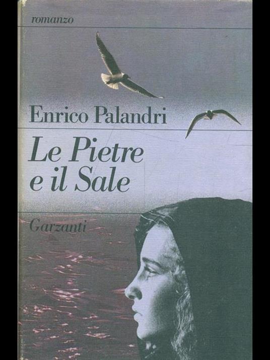 Le pietre e il sale - Enrico Palandri - copertina