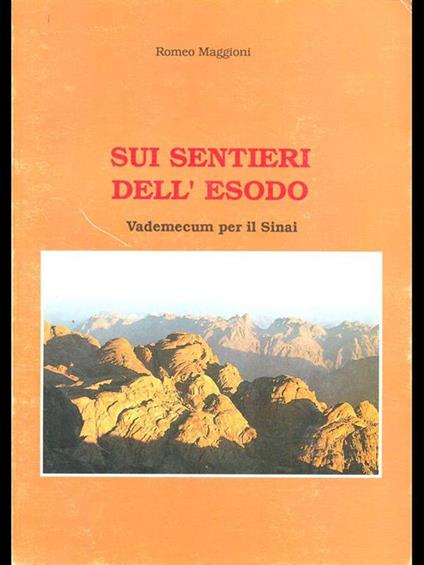 Sui sentieri dell'Esodo - Romeo Maggioni - copertina