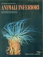 Animali inferiori