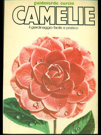 Camelie - copertina