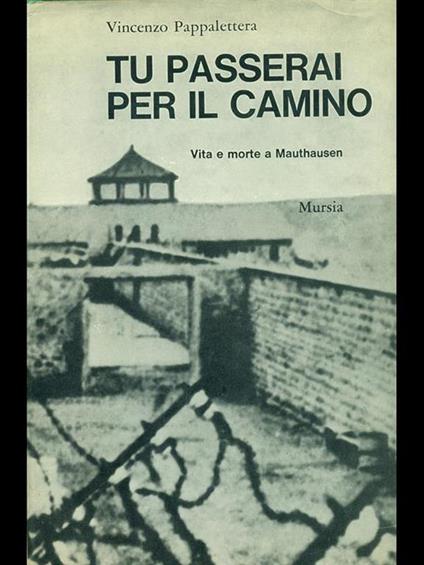 Tu passerai per il camino - Vincenzo Pappalettera - copertina