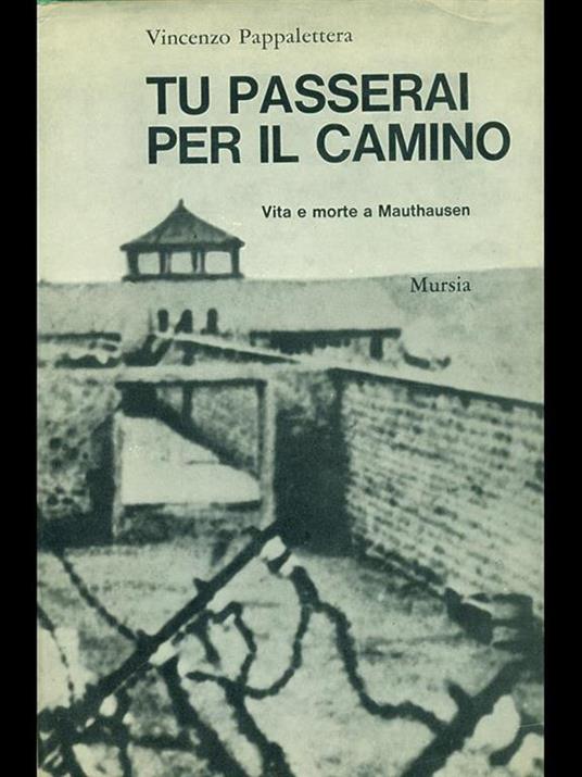 Tu passerai per il camino - Vincenzo Pappalettera - copertina