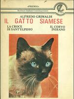 Il gatto Siamese