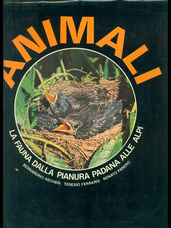Libro di Faccia
