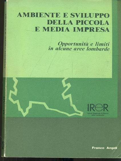 Ambiente e sviluppo della piccola e media impresa - copertina