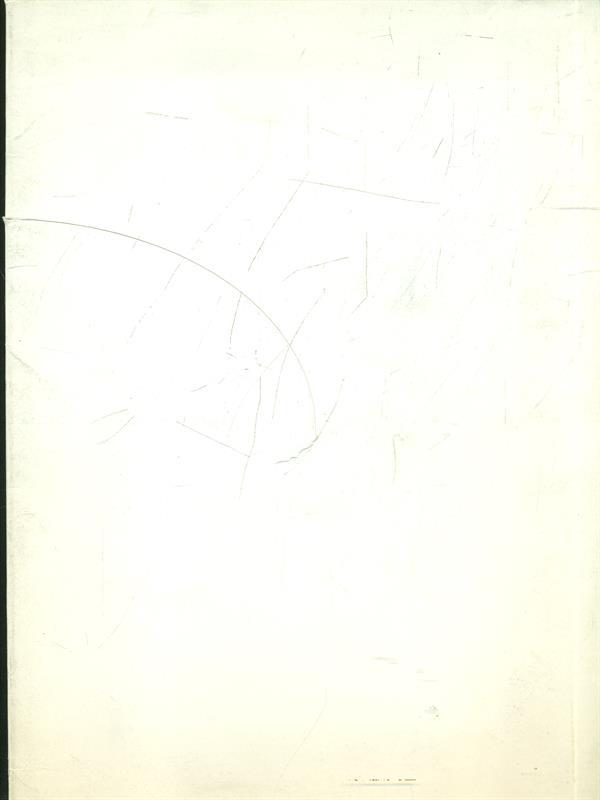 I dipinti di Clytie Alexander