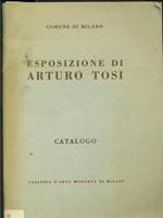 Esposizione di Arturo Tosi