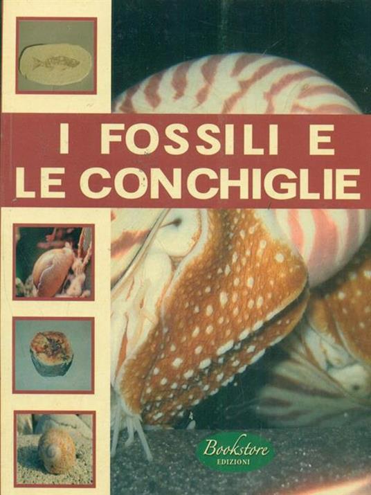 I fossili e le conchiglie - copertina