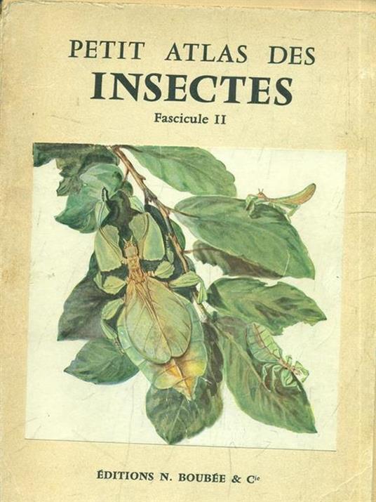 Petit atlas des insectes fascicule II - copertina