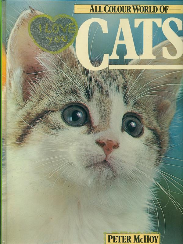 All colour world of cats