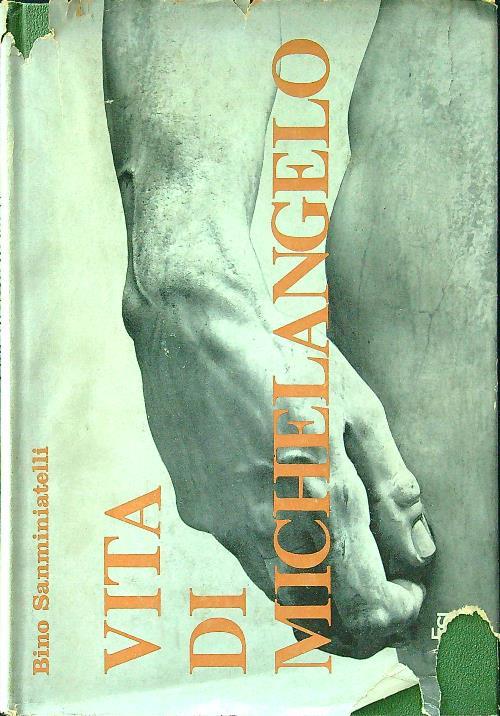 Vita di Michelangelo