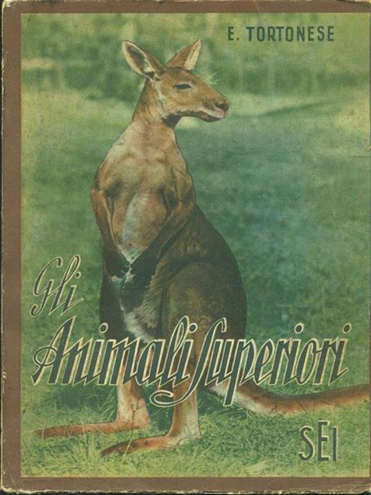 Gli animali superiori - copertina